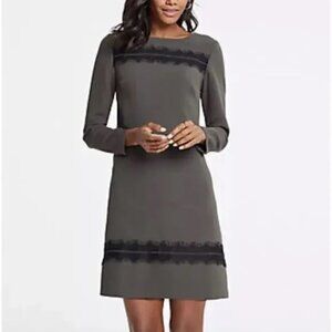 Ann Taylor Olive Green Shift Dress with Lace Trim, Size 8